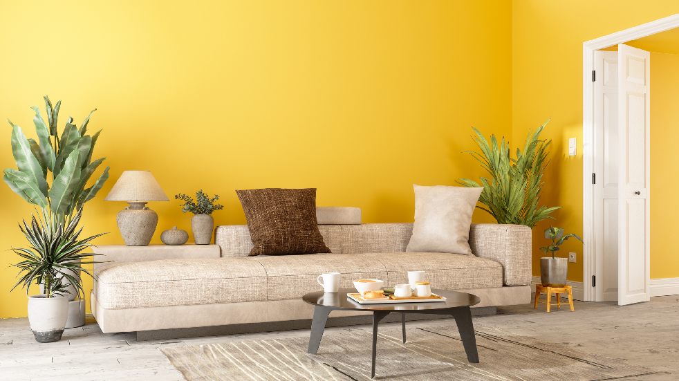 yellow interior walls
